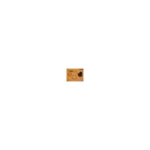 Seat Insert Repair Kit
