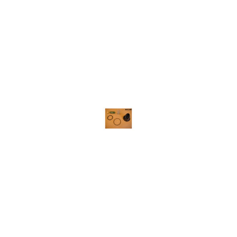 Seat Insert Repair Kit