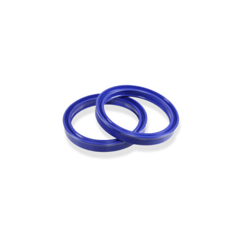 Rotojec Seals