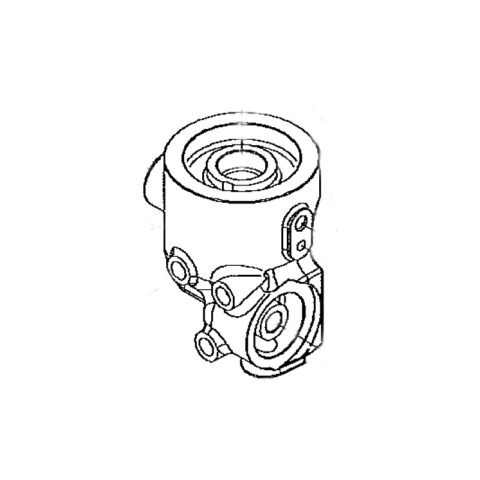 Manifold